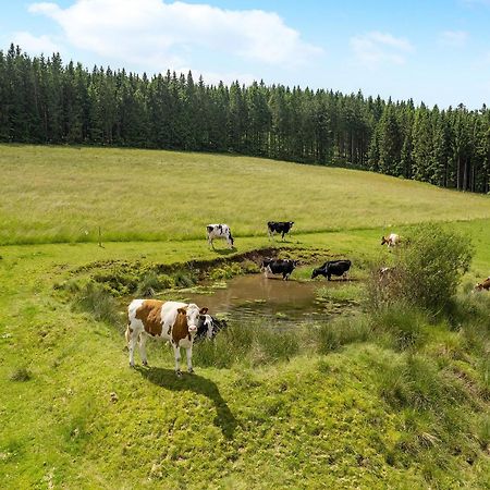 Ferienwohnung Duffner Schonach im Schwarzwald ภายนอก รูปภาพ