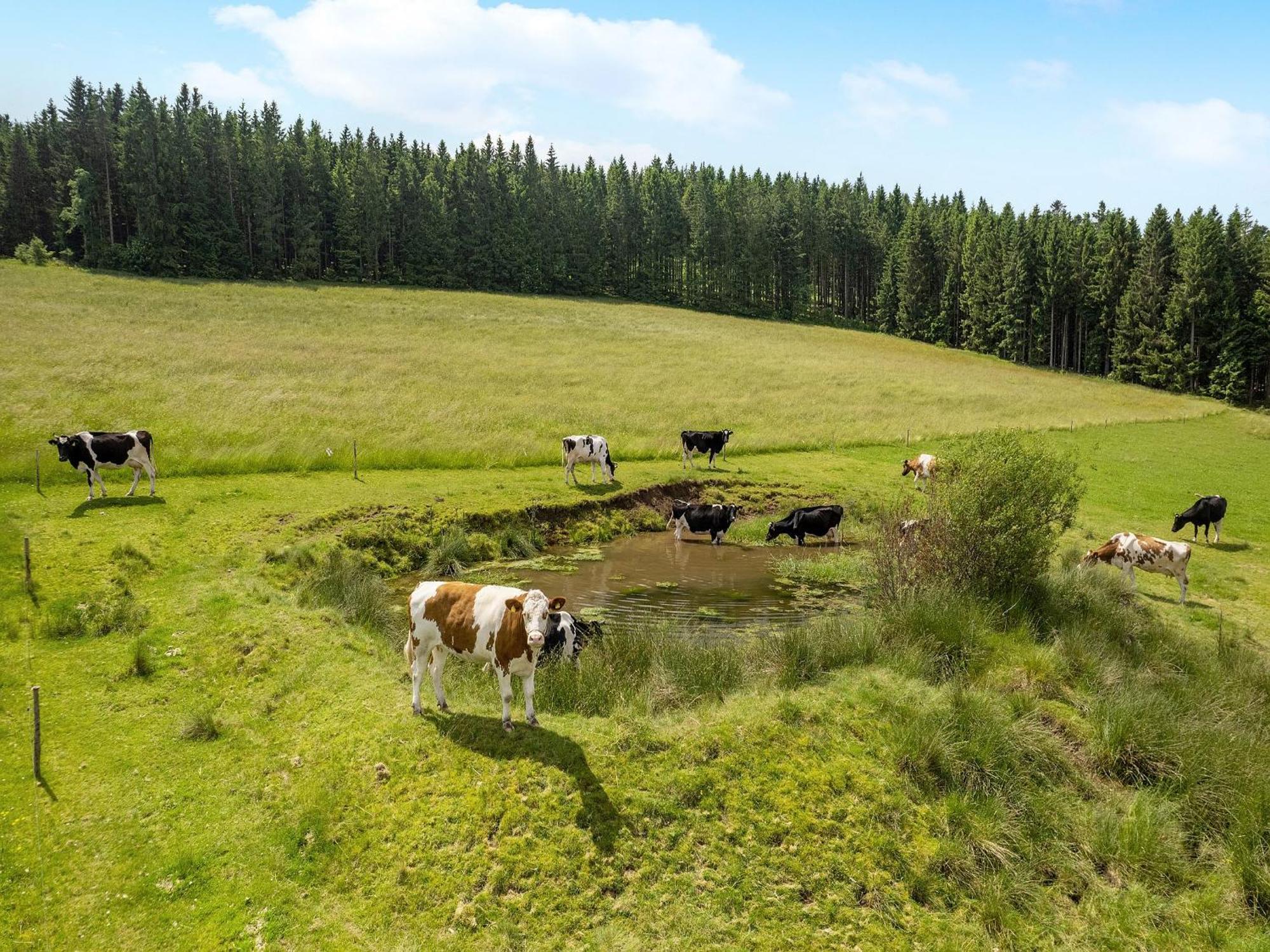 Ferienwohnung Duffner Schonach im Schwarzwald ภายนอก รูปภาพ