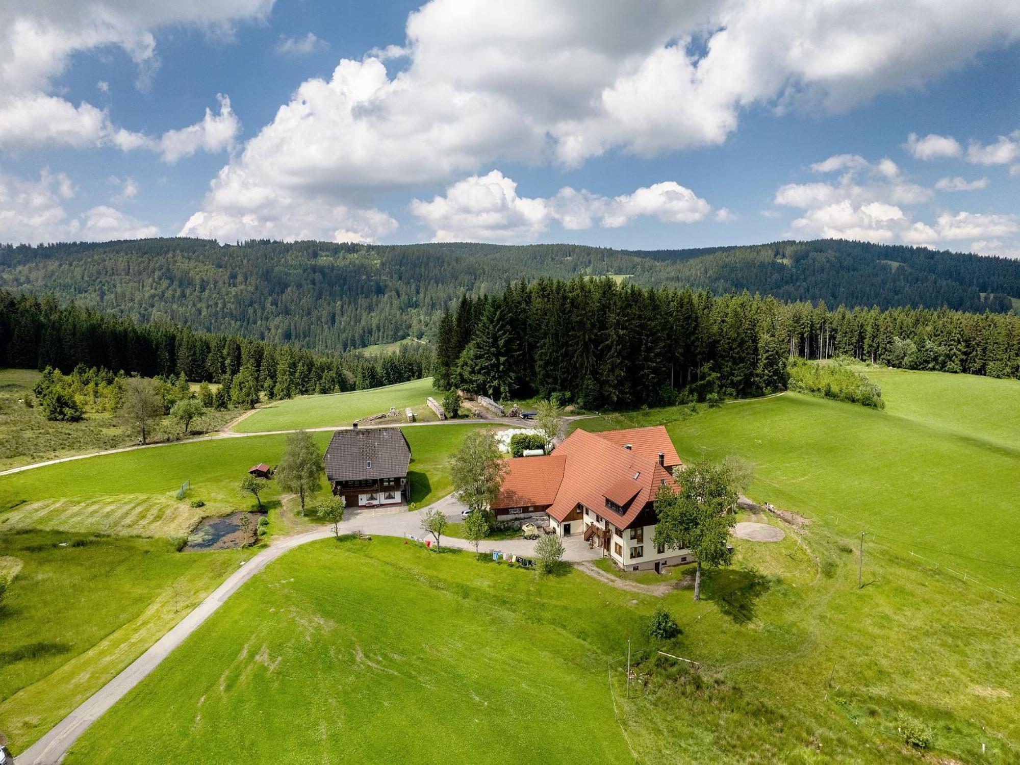 Ferienwohnung Duffner Schonach im Schwarzwald ภายนอก รูปภาพ