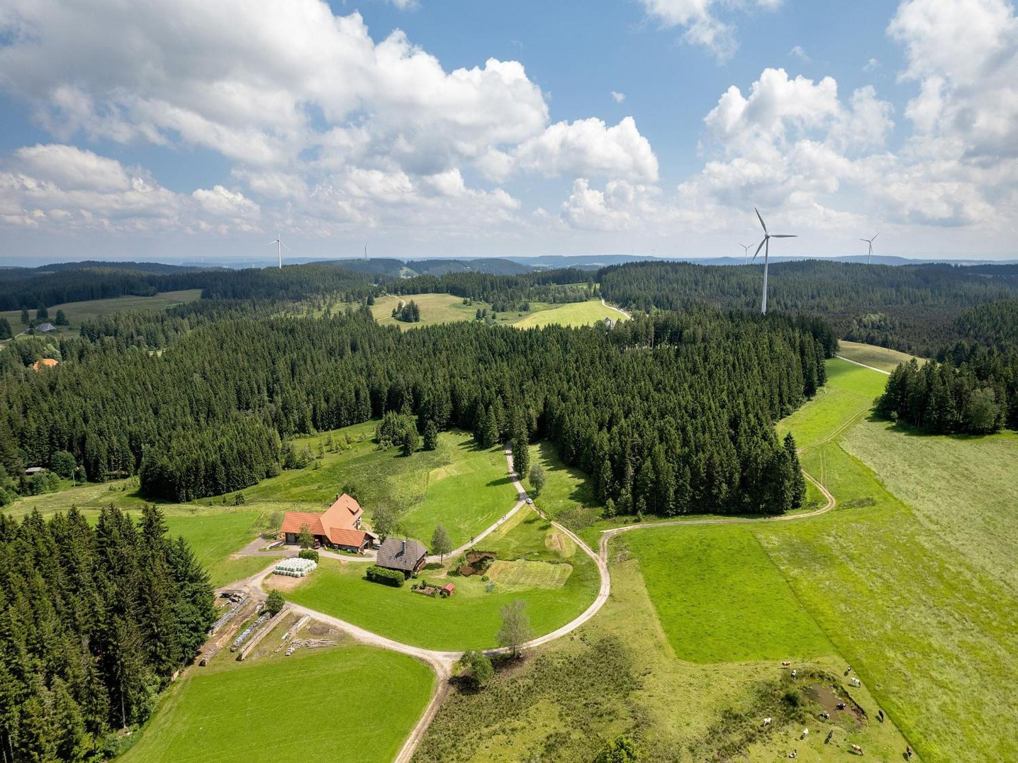 Ferienwohnung Duffner Schonach im Schwarzwald ภายนอก รูปภาพ